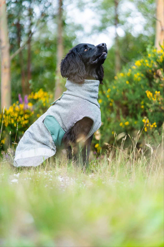 West & Jones safety dog coat, 50cm, in Moss Green Playcoat. 