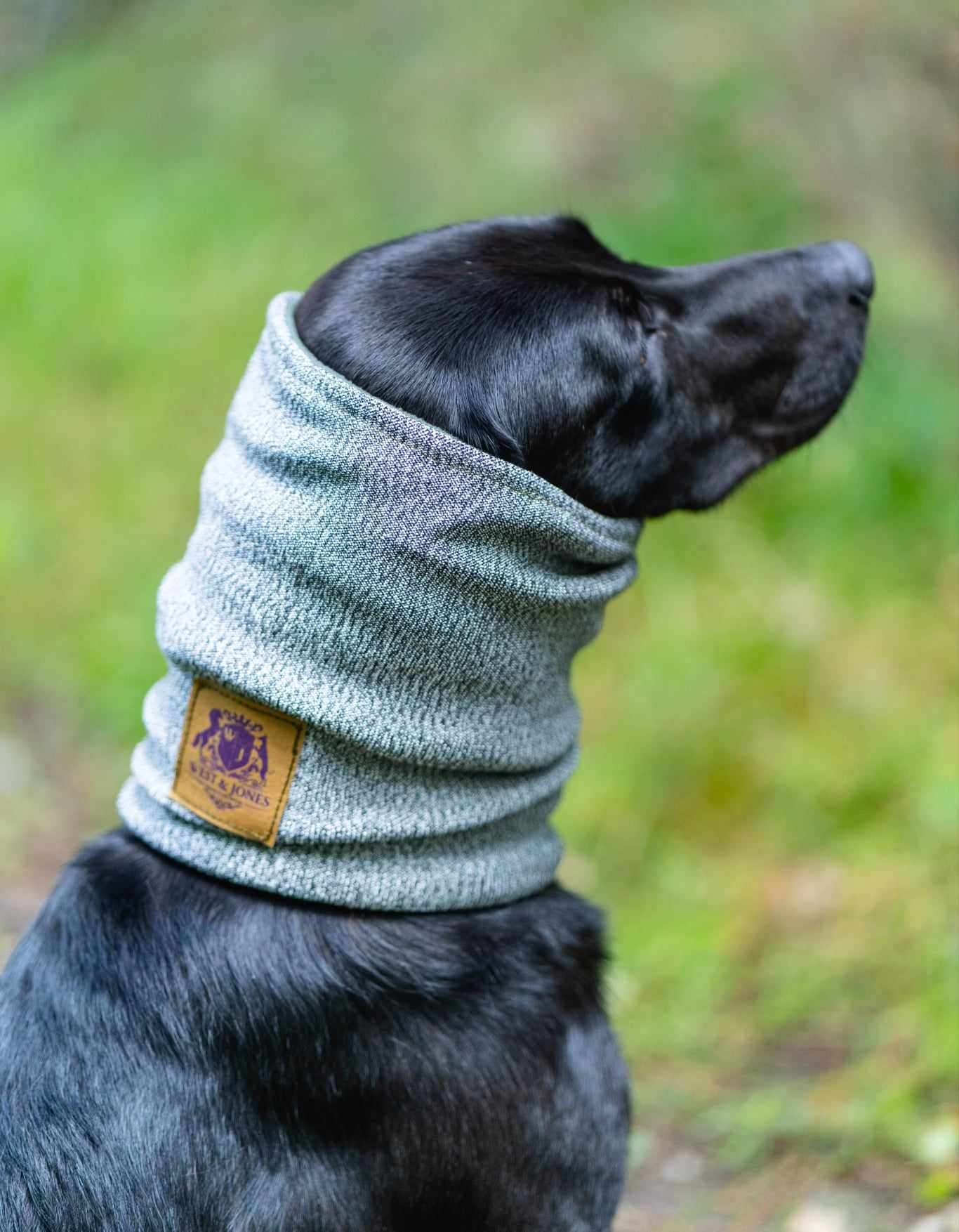 West & Jones Devon Snood- a safety snood to protector dogs from cuts, puncture and bite wounds. Medium, Moss Green- logo on display.