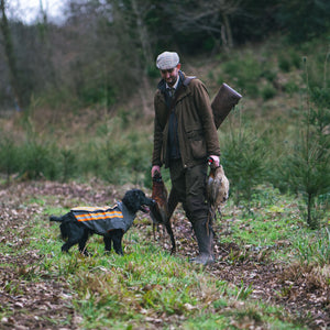 Gun dog wearing armoured jacket whilst on a shoot, with a gamekeeper