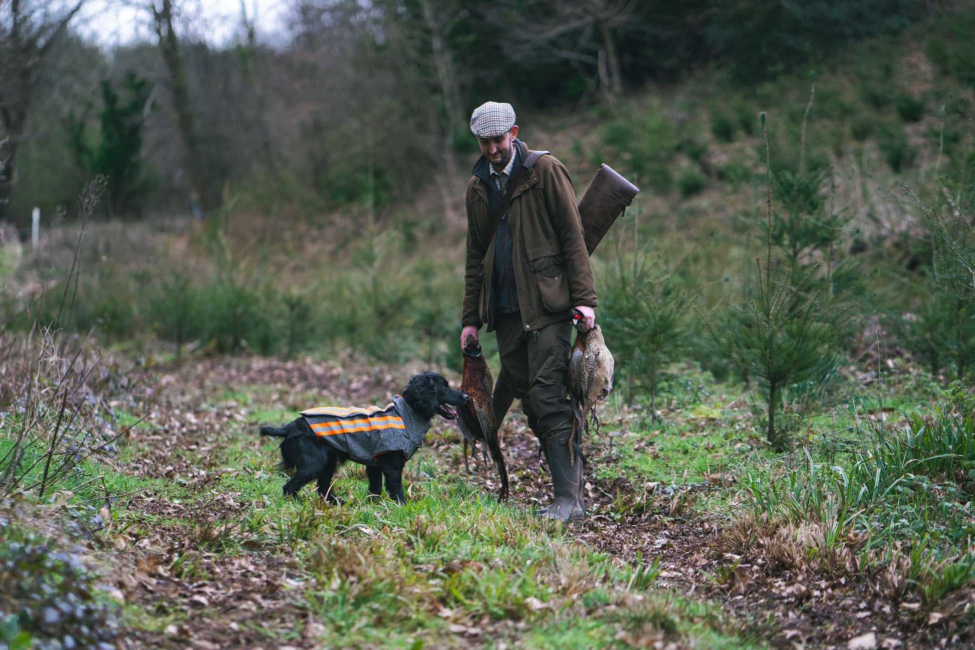 Gun dog wearing armoured jacket whilst on a shoot, with a gamekeeper