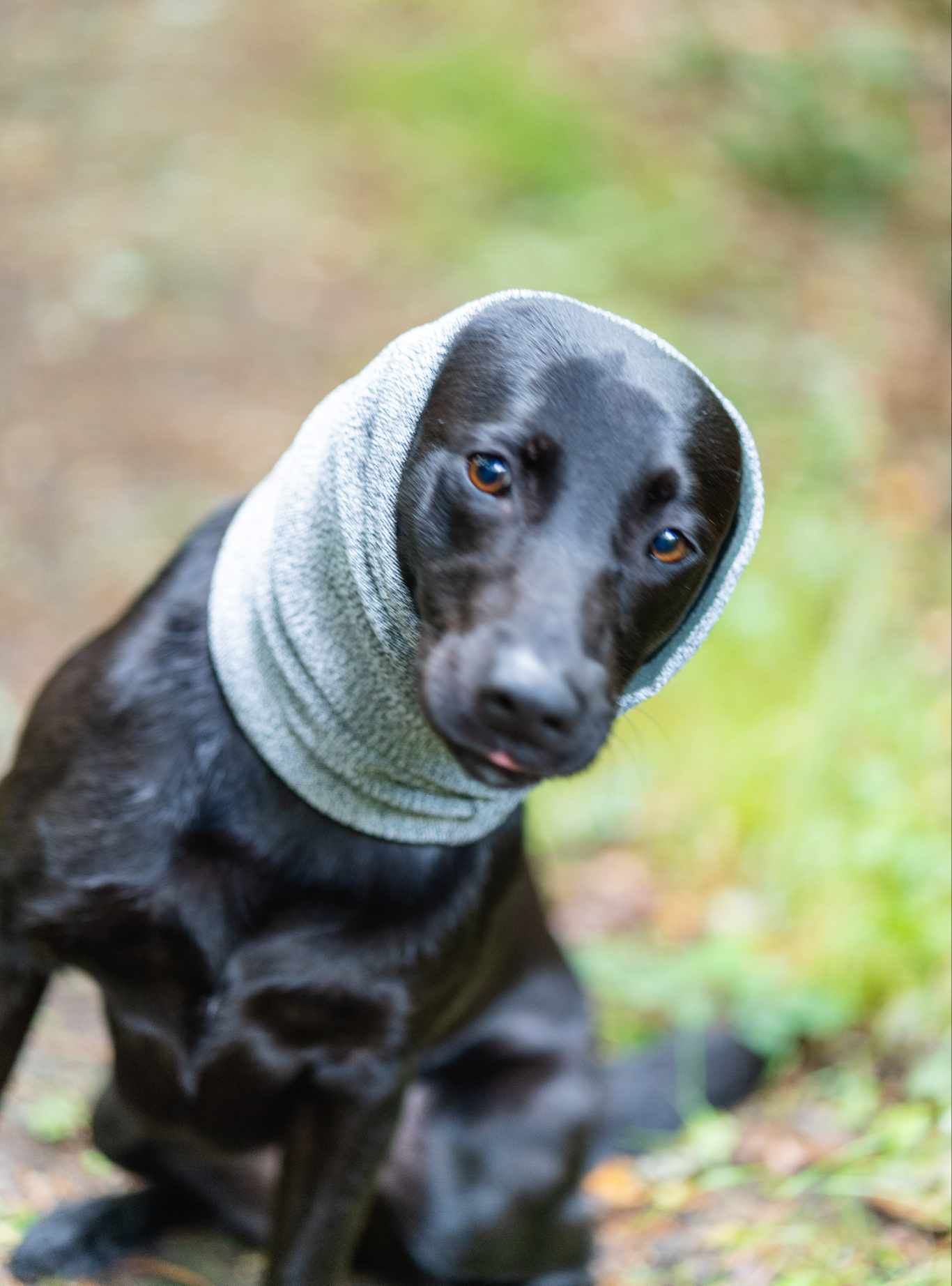 Devon Snood