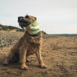 Devon Snood