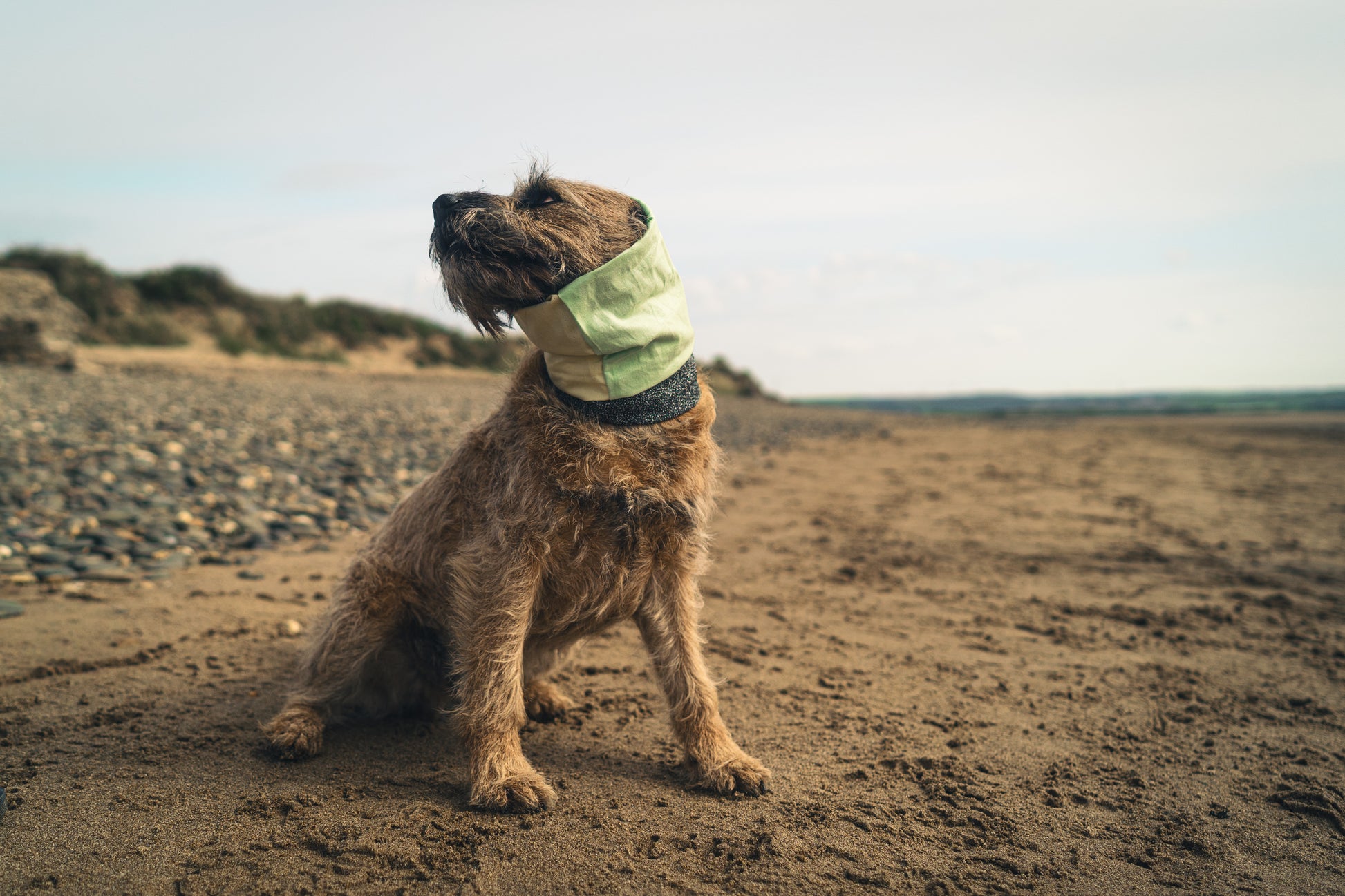 Devon Snood