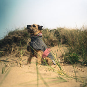 Playcoat- Summer