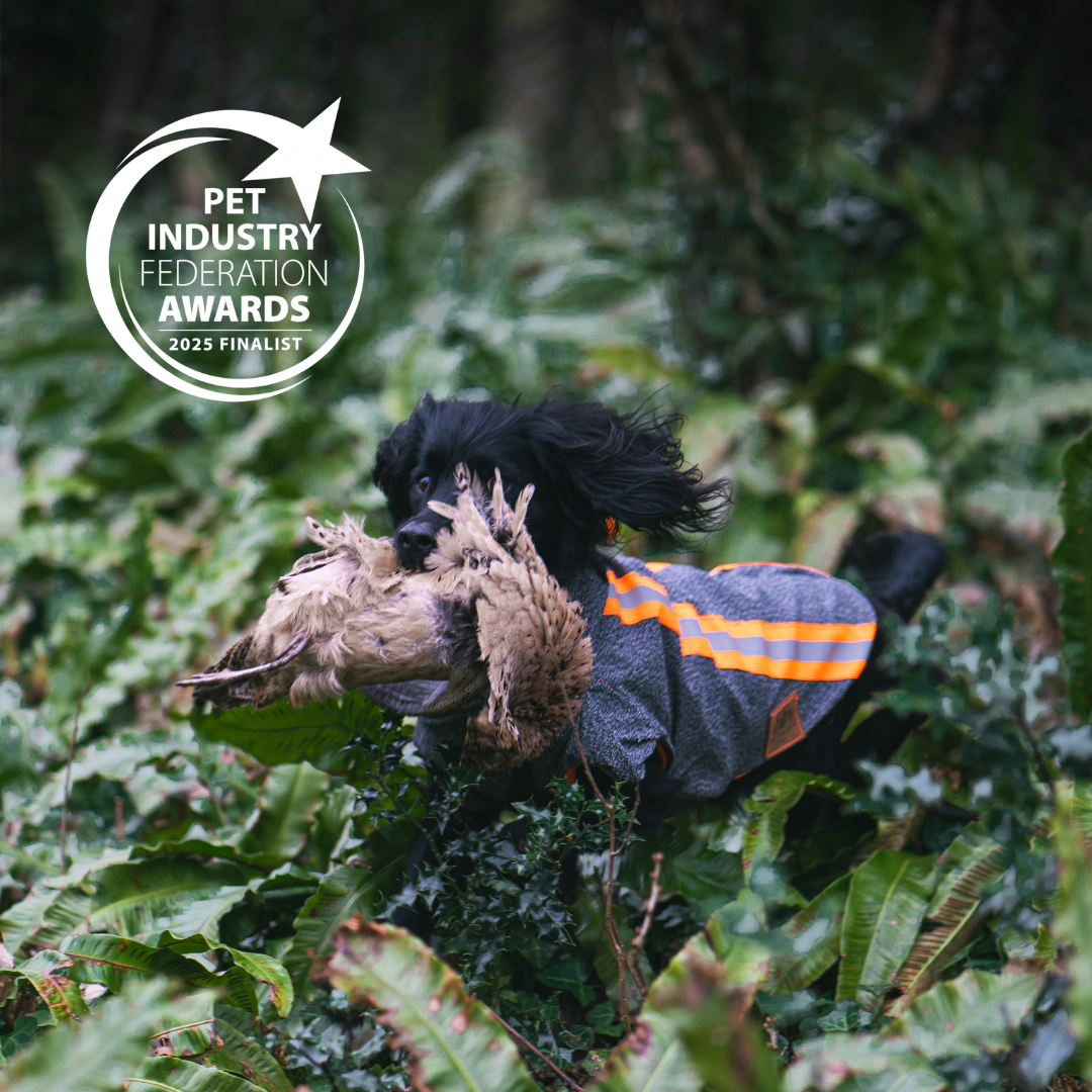 Protective gun dog jacket, the Buddy, is a finalist for the PIF Awards. 