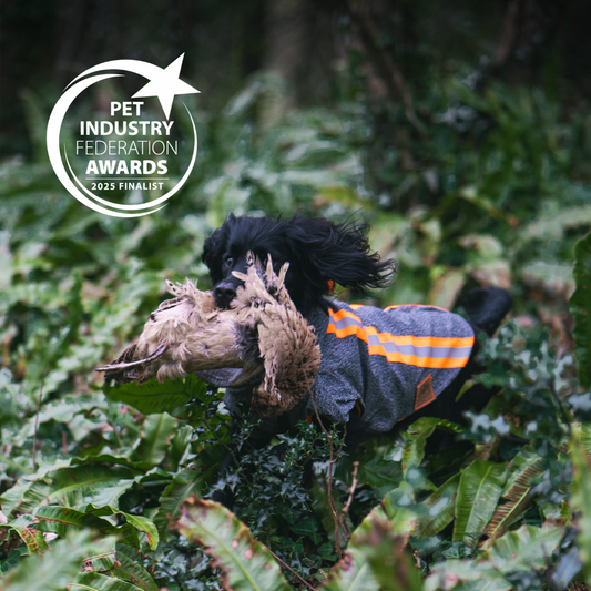 Protective gun dog jacket, the Buddy, is a finalist for the PIF Awards. 
