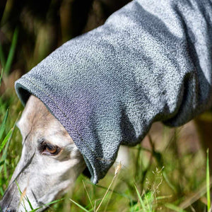 West & Jones safety dog snood- Medium, in Moss Green Hound Snood.