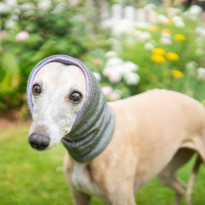 West & Jones safety dog snood in Small, in Lilac Heather Hound Snood.