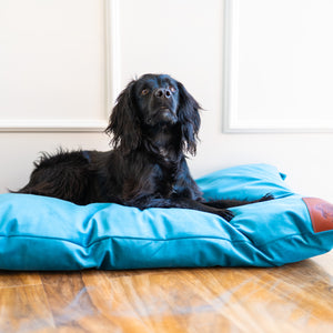 Chew proof, tough dog bed