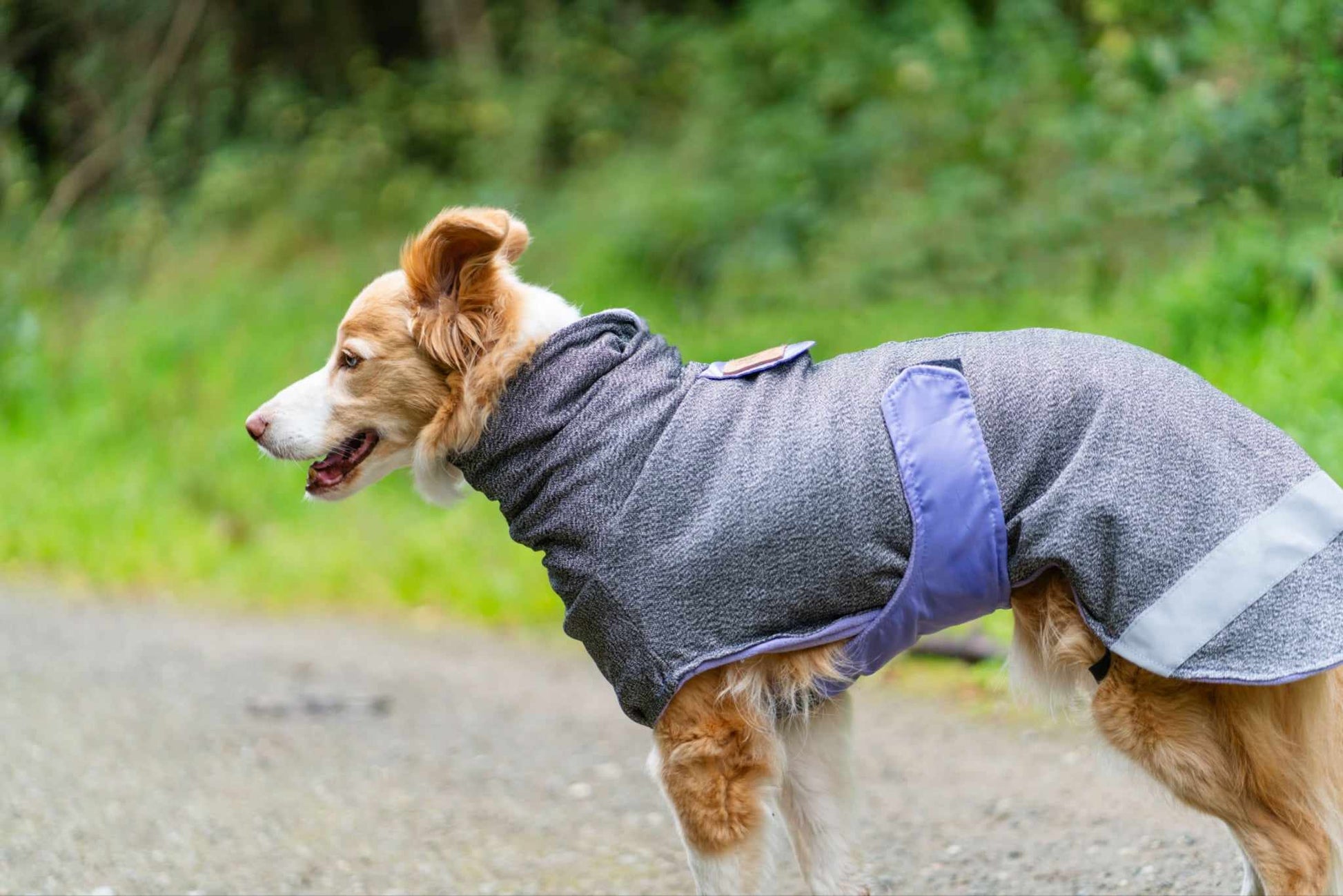 West & Jones safety dog coat, 60cm, in Lilac Heather Playcoat. 