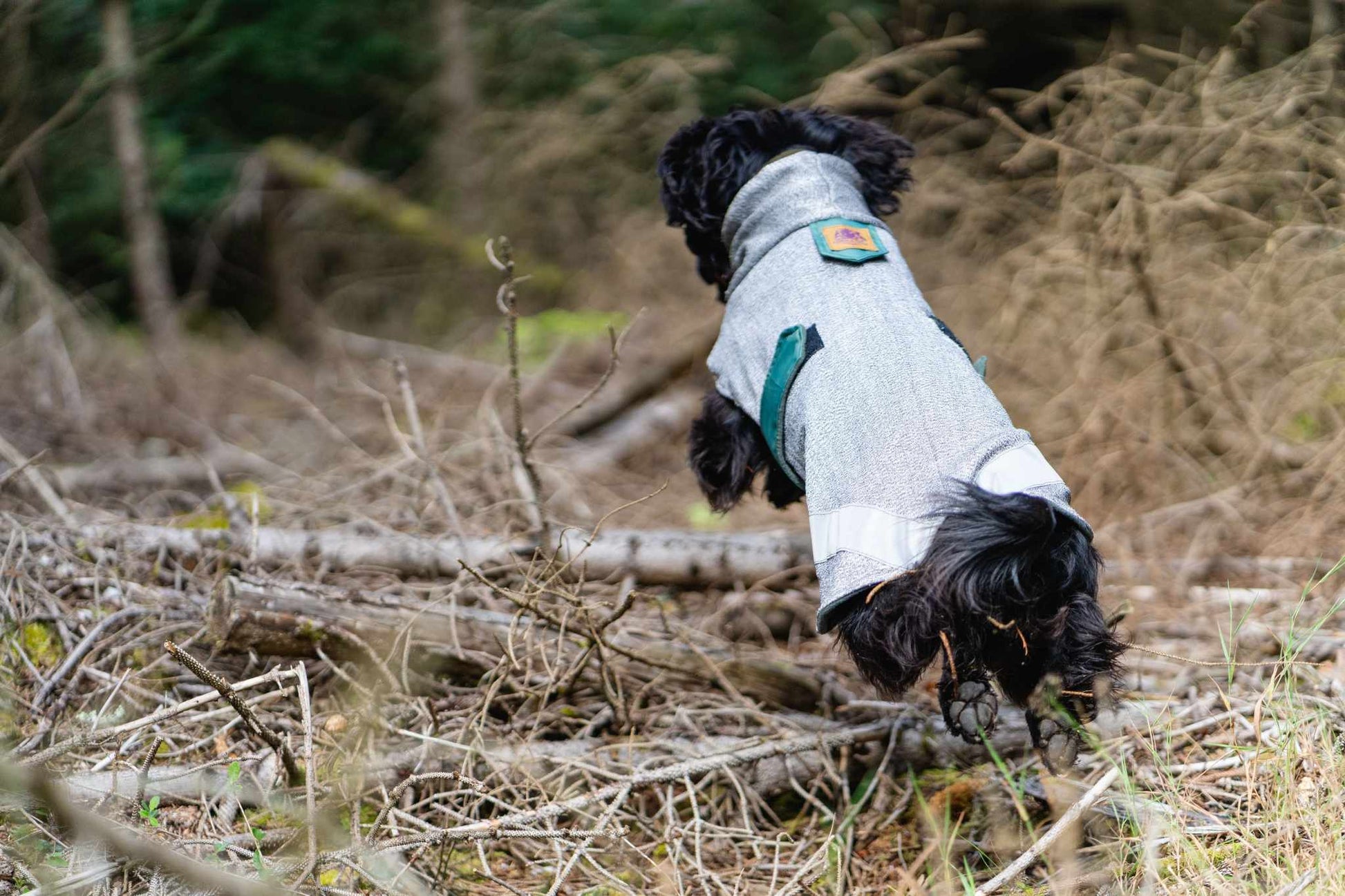 West & Jones safety dog coat, 50cm, in Moss Green Playcoat. 