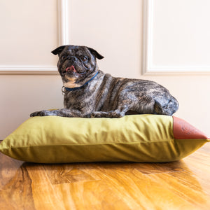 Indestructible dog bed
