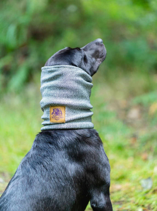West & Jones Devon Snood- a safety snood to protector dogs from cuts, puncture and bite wounds. Medium, Moss Green