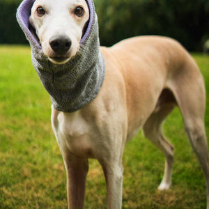 West & Jones Devon Snood- a safety snood to protector dogs from cuts, puncture and bite wounds. Medium, Lilac Heather.