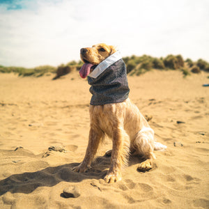 Devon Snood